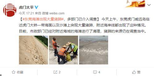 张家口老四爆料视频曝光,揭秘背后惊人真相