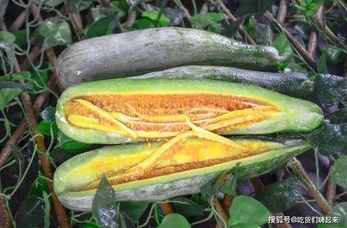 建湖网红吃瓜事件,揭秘网络舆论的风云变幻 第2张 建湖网红吃瓜事件,揭秘网络舆论的风云变幻 第2张