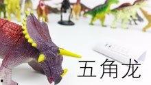 恐龙视频爆料大全下载,揭秘史前巨兽的神秘世界
