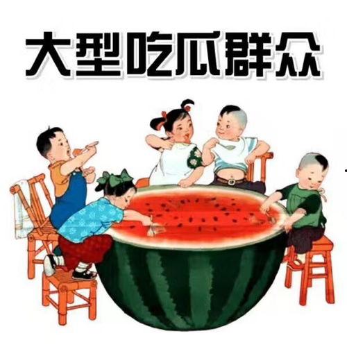 礼貌吃大瓜小说免费阅读