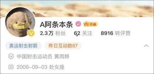 爆料四姐视频下载网站,热门视频下载网站深度解析