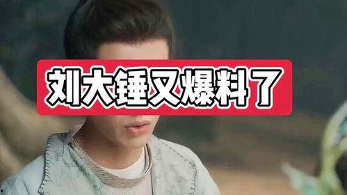 刘大锤今日直播爆料,今日热点事件幕后真相 第2张 刘大锤今日直播爆料,今日热点事件幕后真相 第2张