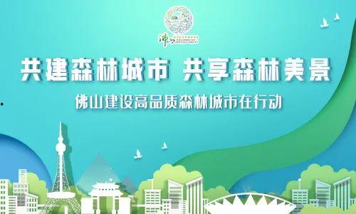 佛山市各新闻爆料电话,佛山新闻爆料热线汇总 第2张 佛山市各新闻爆料电话,佛山新闻爆料热线汇总 第2张