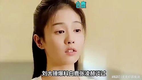 刘大锤爆料白鹿视频全集,白鹿视频全集大曝光,精彩瞬间尽收眼底 第2张 刘大锤爆料白鹿视频全集,白鹿视频全集大曝光,精彩瞬间尽收眼底 第2张
