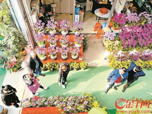 最新花街在线观看,沉浸式体验最新网络剧魅力 第3张 最新花街在线观看,沉浸式体验最新网络剧魅力 第3张