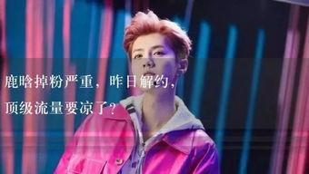 娱乐吃瓜 小故事视频播放,揭秘小故事视频背后的精彩瞬间  第2张