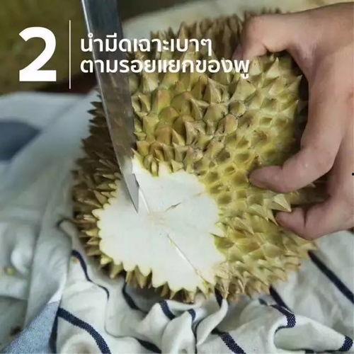 榴莲催熟爆料怎么做视频,轻松掌握视频制作攻略
