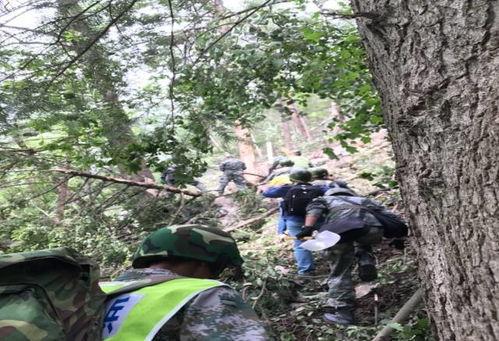 翻山越岭爆料新闻视频播放