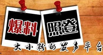 新闻音频爆料平台,幕后真相与行业动态