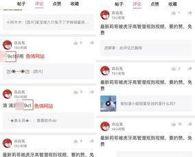 视频爆料规则最新版,揭秘合规发布与风险规避要点
