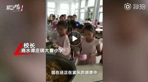 河南网友最新爆料,揭秘某神秘事件真相！  第3张