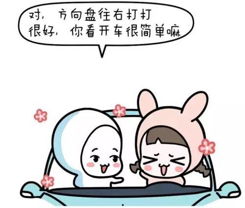 学车教练爆料视频下载免费,免费下载视频背后的真相 第2张 学车教练爆料视频下载免费,免费下载视频背后的真相 第2张