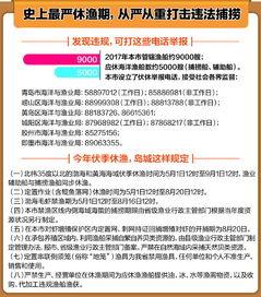半岛都市报新闻爆料,重大新闻事件引发社会关注  第2张