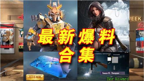 吃鸡国际服爆料视频下载,最新爆料视频深度解析