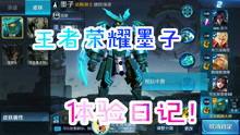 王者三八爆料视频大全集,揭秘游戏幕后故事与精彩瞬间  第2张