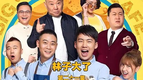 林子大了在线观看,探索广阔人生舞台的精彩故事  第3张