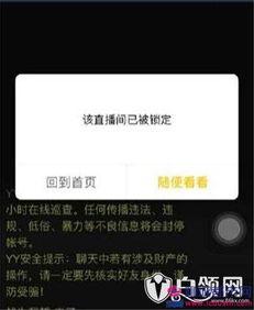 吉哥爆料视频在线观看免费,揭秘幕后真相，带你领略娱乐风云