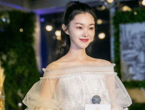 娱乐圈爆料宋轶是谁啊,宋轶是谁？  第3张