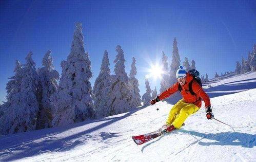 滑雪网红爆料视频下载,爆款视频背后的下载攻略 第2张 滑雪网红爆料视频下载,爆款视频背后的下载攻略 第2张