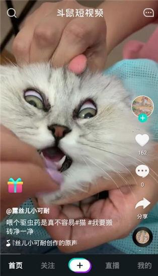 番鼠爆料视频大全最新版,最新版精彩内容大盘点  第2张