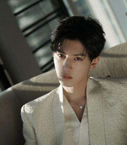 陈哲远娱乐圈爆料事件视频,揭秘娱乐圈背后真相  第2张