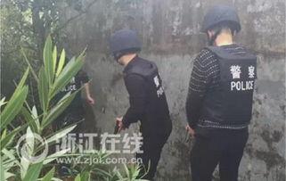 围捕 在线观看,紧张刺激的在线悬疑直播  第2张