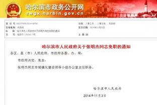 哈尔滨经济爆料最新消息,揭秘最新产业布局与投资机遇