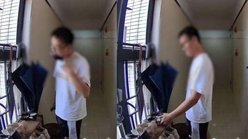 女舔男下视频在线观看,揭秘女舔男下视频的在线观看现象