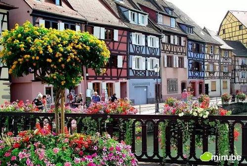 新闻爆料枫丹小镇事件,揭秘神秘社区背后的真相