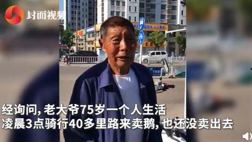 老冯爆料老马视频大全,老马视频大全背后的精彩故事 第2张 老冯爆料老马视频大全,老马视频大全背后的精彩故事 第2张