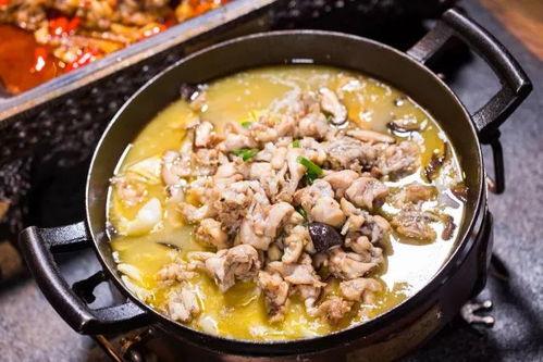 爆料牛蛙视频下载大全,海量资源一网打尽  第2张