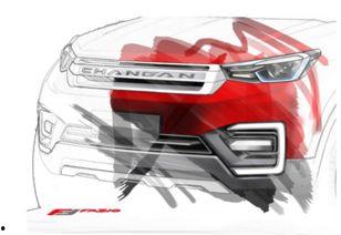 上海车展事件最新爆料,揭秘幕后真相与各方动态  第2张