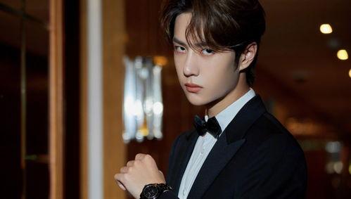 王一博最新的爆料,揭秘他的私生活与未来计划  第2张