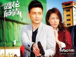 护花危情国语在线观看,浪漫警花与神秘卧底的爱恨情仇  第3张