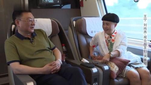 爆料王宁新闻,揭秘娱乐圈幕后真相  第3张