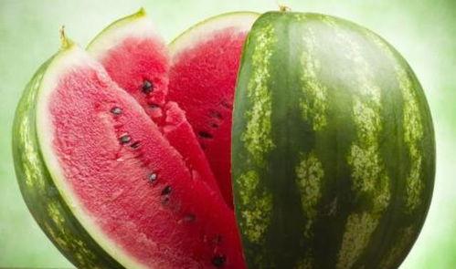 番茄小说吃瓜娱乐圈,番茄小说中的吃瓜日常 第3张 番茄小说吃瓜娱乐圈,番茄小说中的吃瓜日常 第3张