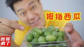 吃瓜吃料网站在线观看免费,免费在线观看，畅享娱乐盛宴  第3张