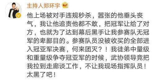 中国打假拳爆料最新消息,最新爆料揭露惊人内幕  第2张