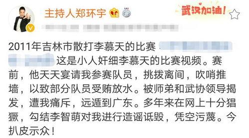 中国打假拳爆料最新消息,最新爆料揭露惊人内幕  第3张