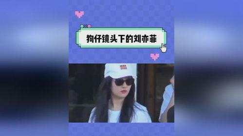 凌云吃瓜日记在线观看免费,揭秘娱乐圈幕后真相，免费在线观看大揭秘