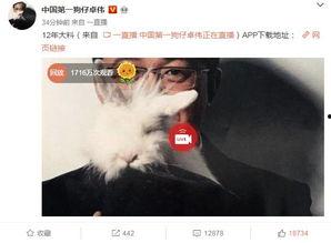 卓伟爆料模特视频播放时间,模特私密视频曝光,播放时长引发热议 第3张 卓伟爆料模特视频播放时间,模特私密视频曝光,播放时长引发热议 第3张