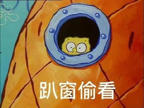 派大星娱乐爆料视频大全,视频大全精彩瞬间大放送 第2张 派大星娱乐爆料视频大全,视频大全精彩瞬间大放送 第2张