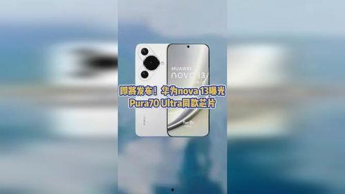 nova13最新爆料,颠覆性设计，性能再升级，揭秘未来旗舰手机新篇章”