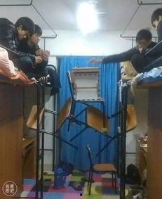 宿舍奇葩爆料事件视频,揭秘校园奇葩爆料事件视频背后的真相