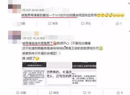娱乐圈最新爆料人员名单,神秘名单曝光，明星动向揭秘！