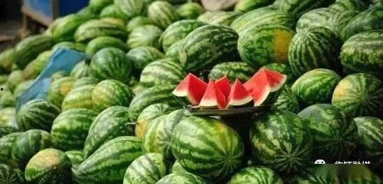 康县网红直播吃瓜,带你领略乡村美食魅力 第1张 康县网红直播吃瓜,带你领略乡村美食魅力 第1张