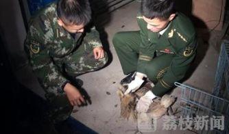 出警爆料歹徒视频  第1张