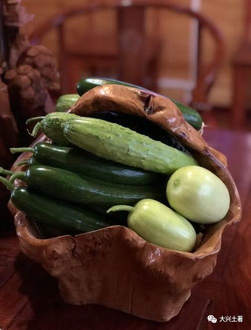 网红吃瓜社,揭秘娱乐圈幕后真相，带你领略明星们的真实生活  第1张