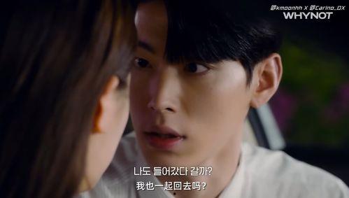 今天韩剧在线观看,在线观看指南  第1张